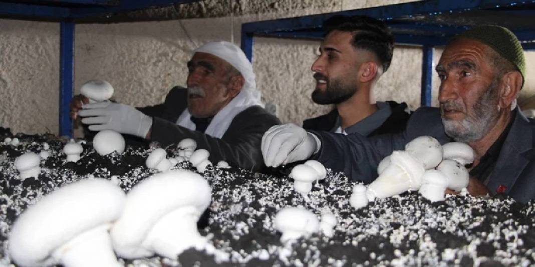 2.000 yıllık mağarayı üretim tesisi yaptı: Her ay 3 ton ürün elde ediyor 5